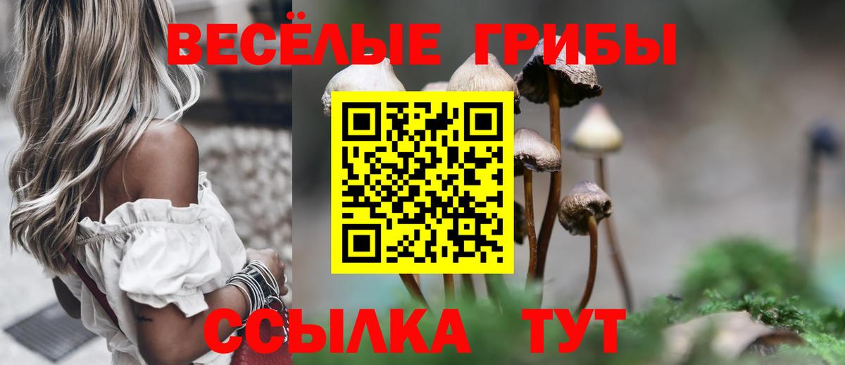 Галлюциногенные грибы Magic Shrooms  Вход с VPN  продажа наркотиков  Солнечногорск 